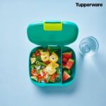 Lancheira com 2 Divisórias Tupperware